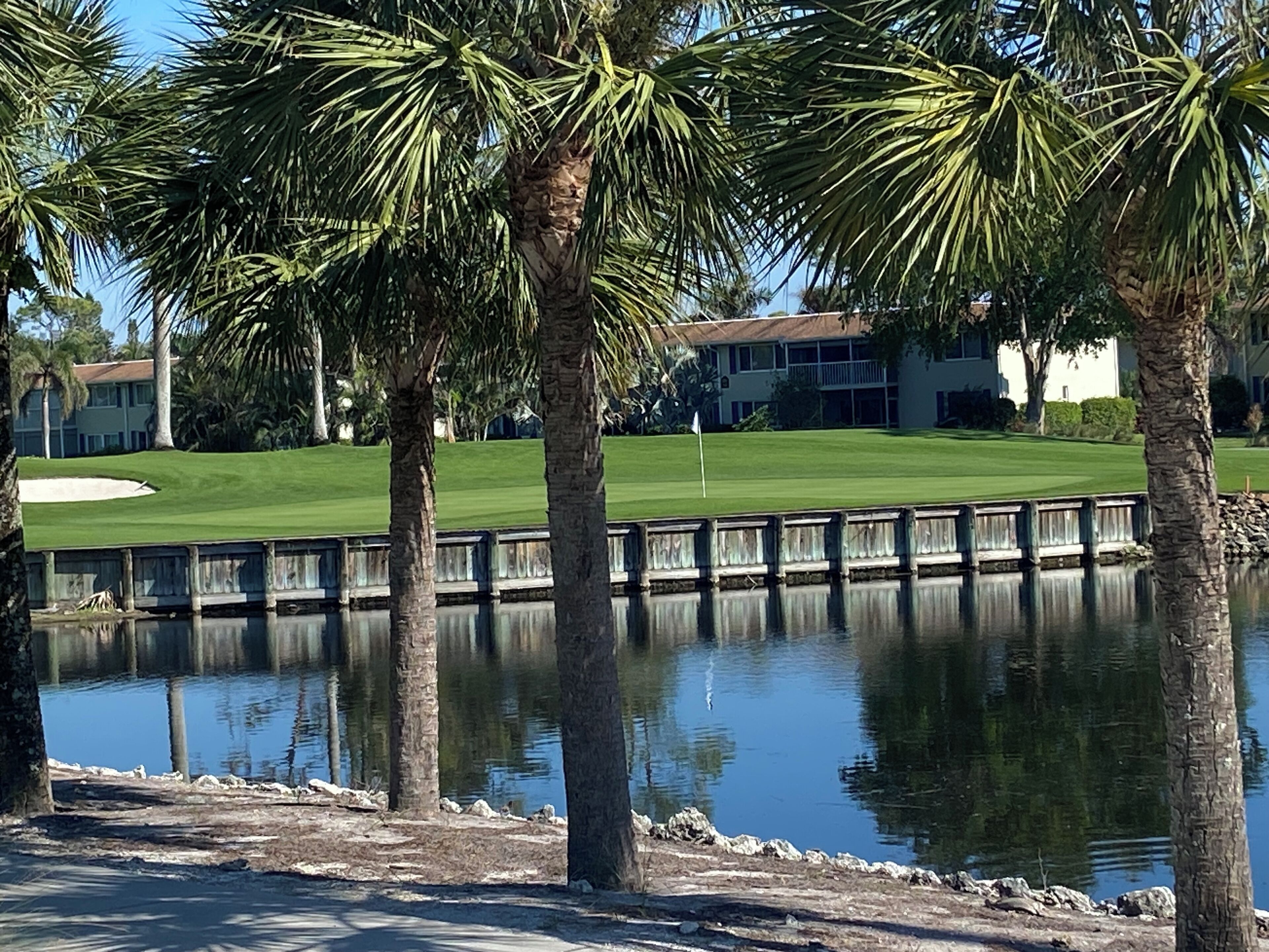 Un terrain de golf avec un plan d’eau au premier plan, des palmiers et un bâtiment en arrière-plan.