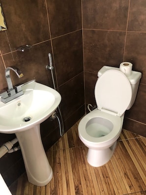 Combined shower/tub, towels, toilet paper