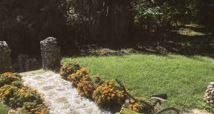 Victorian Cottage with Mountain Views Hiking biking and fishing oh my