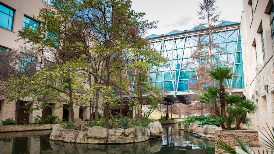 Holiday Inn Express San Antonio East I 10 by IHG