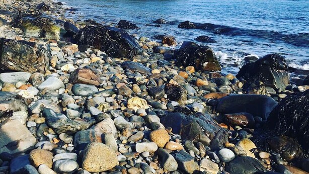 Una riba rocosa amb diversos pedres i petits còdols, una platja sorrenca i un penya-segada boscosa al fons.
