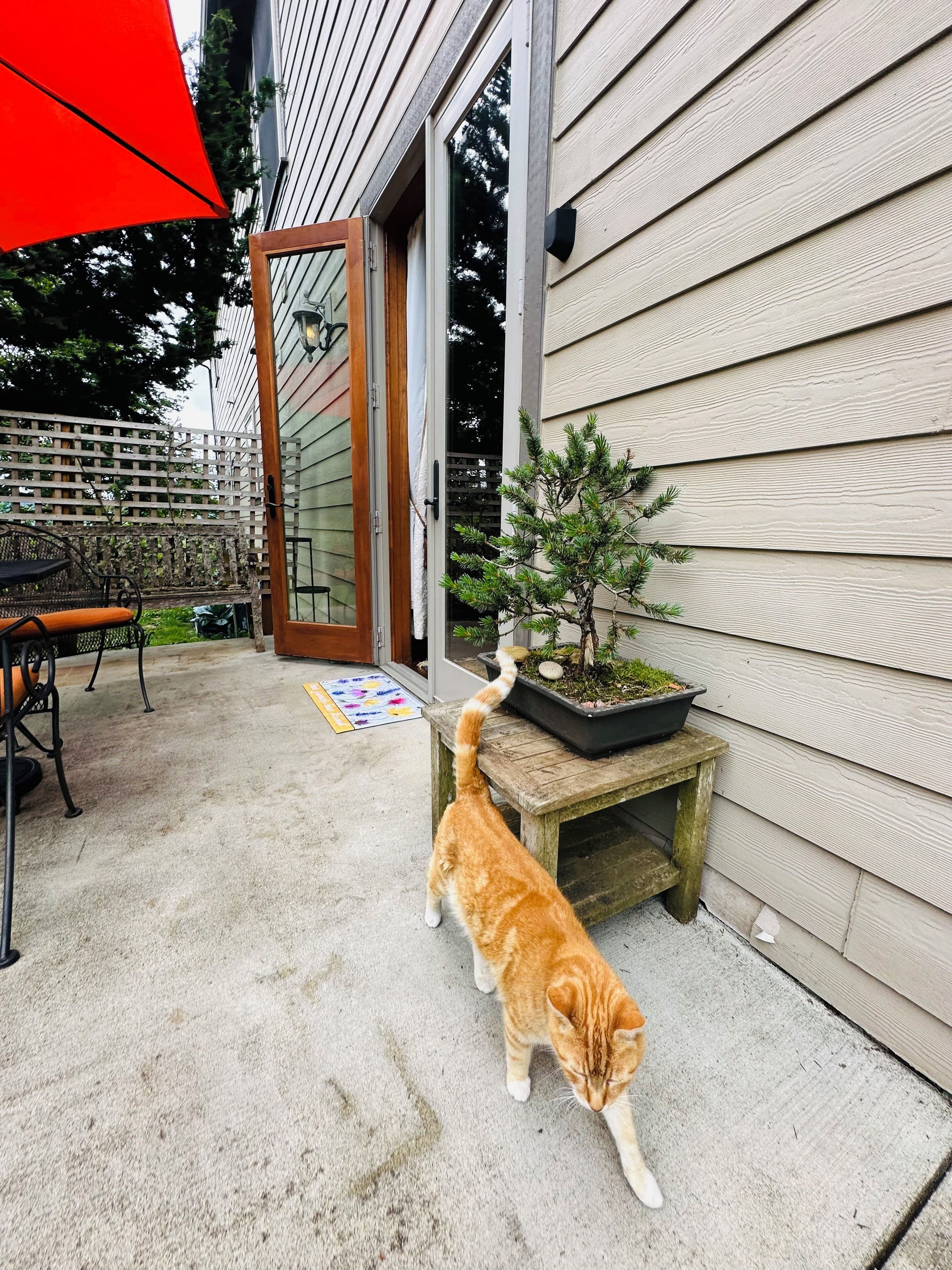 Terrace/patio