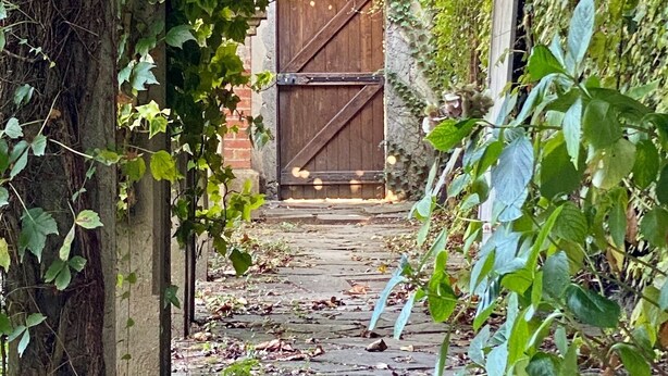 A stone pathway leading to a wooden gate, surrounded by lush greenery and vines. - Le Rez de Jardin Albi (Albi)