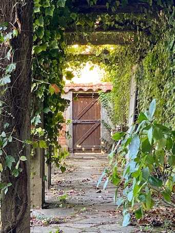 Le Rez de Jardin Albi