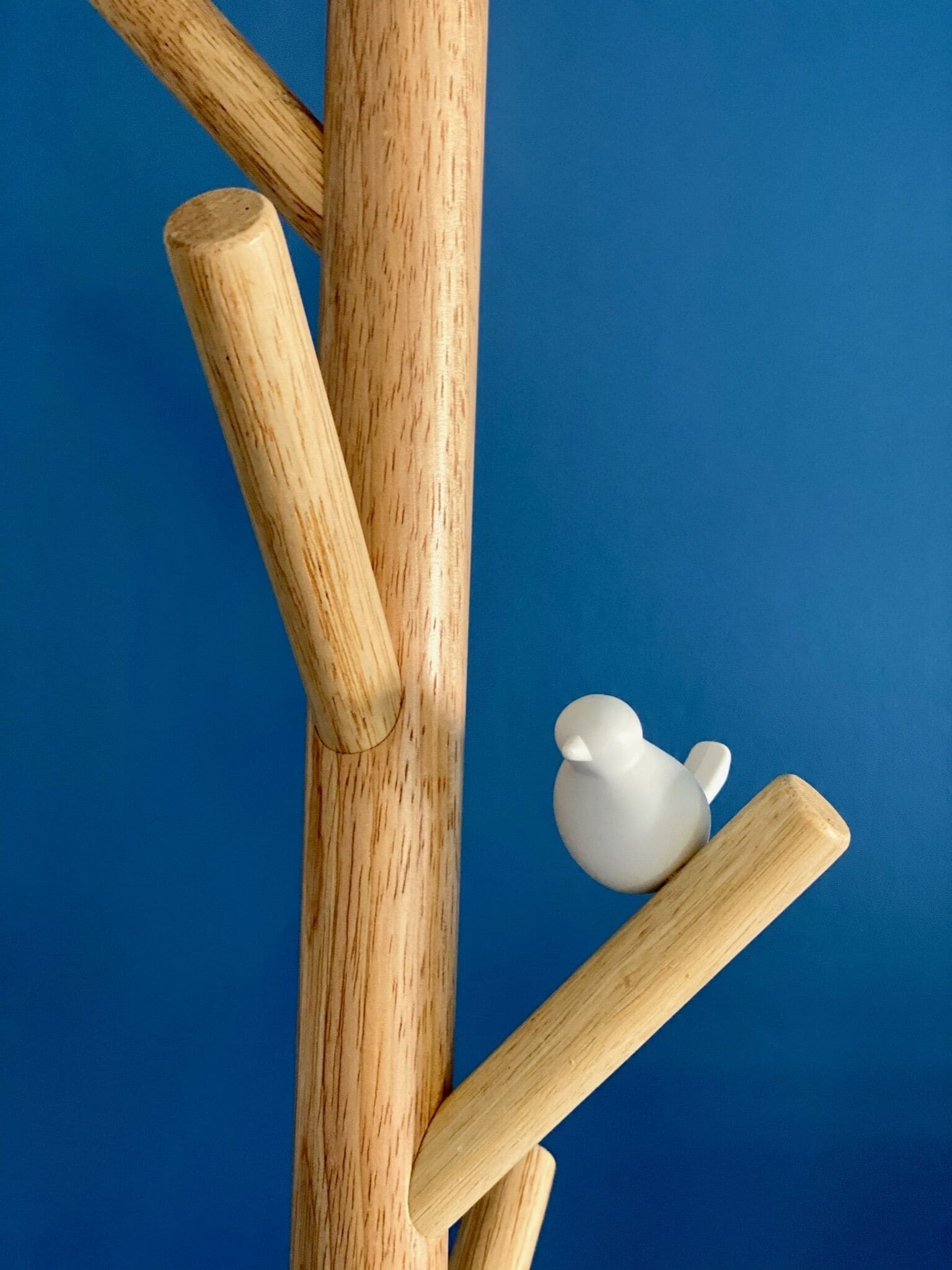 Foto - Le Rez de Jardin Albi