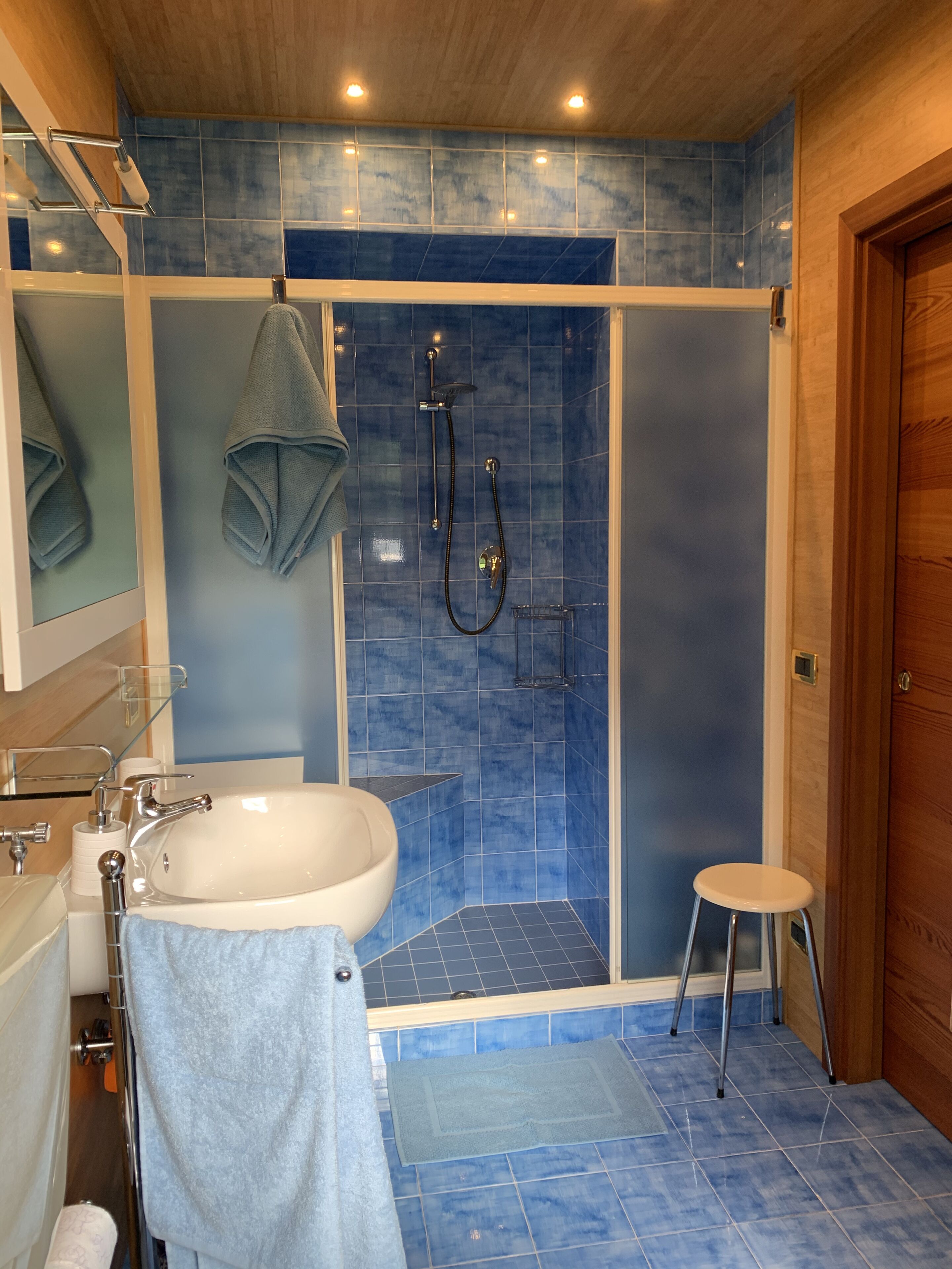 Combined shower/tub, hair dryer, bidet, towels