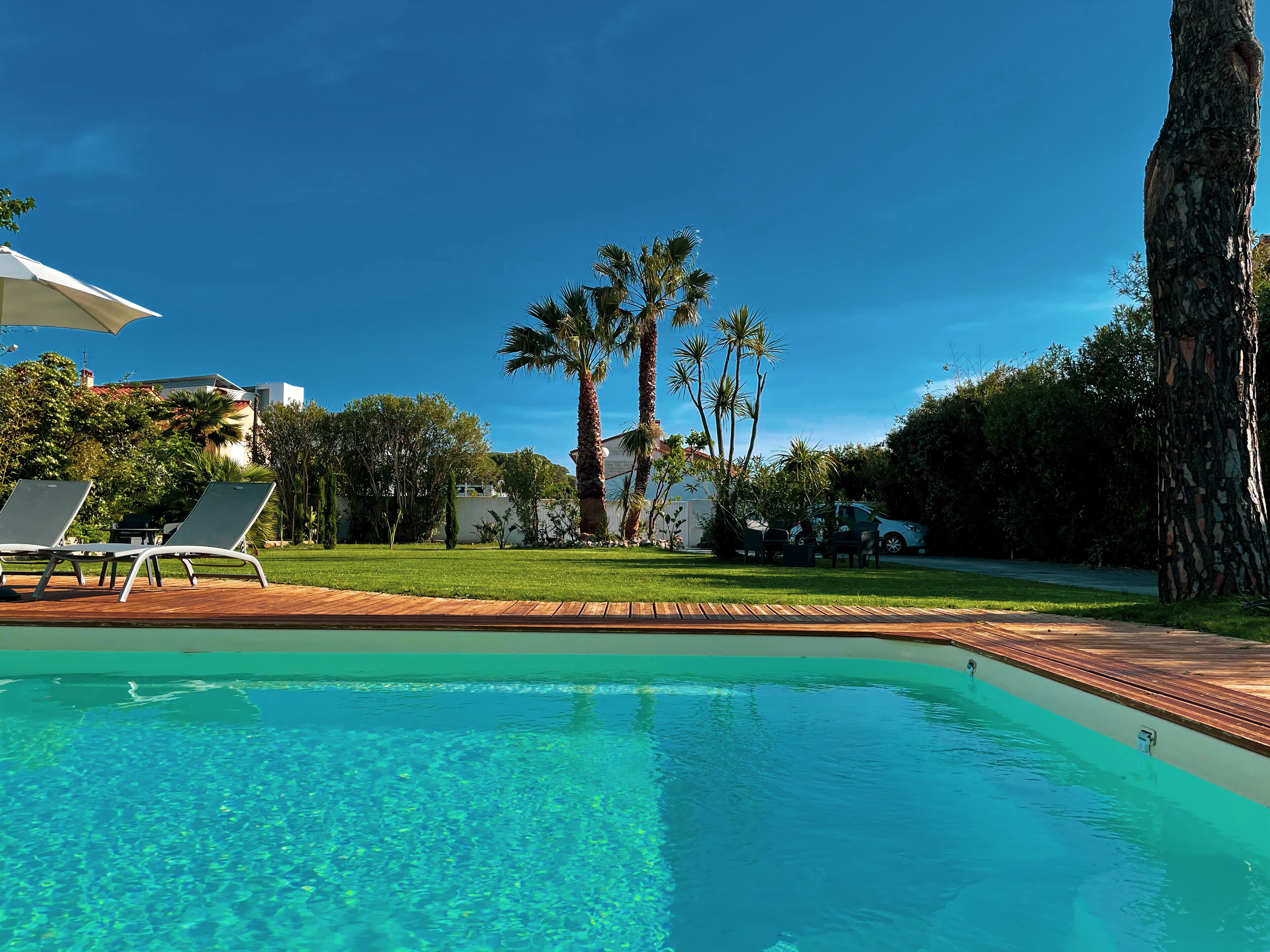 A clear swimming pool with a wooden deck, lounge chairs, and palm trees in the background.