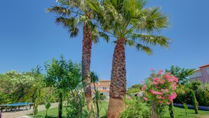 A garden with palm trees and a building labeled "Le Courtois" in the background. - Domaine Le Courti (Le Barcares)