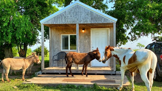 A small wooden structure with a porch and a door, surrounded by trees. - Little Cabin at the DonkeyRanch (Lawton)