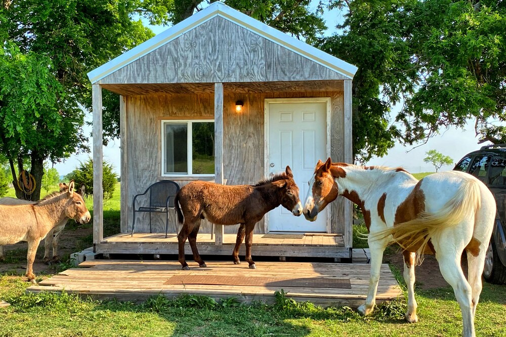 Little Cabin at the DonkeyRanch