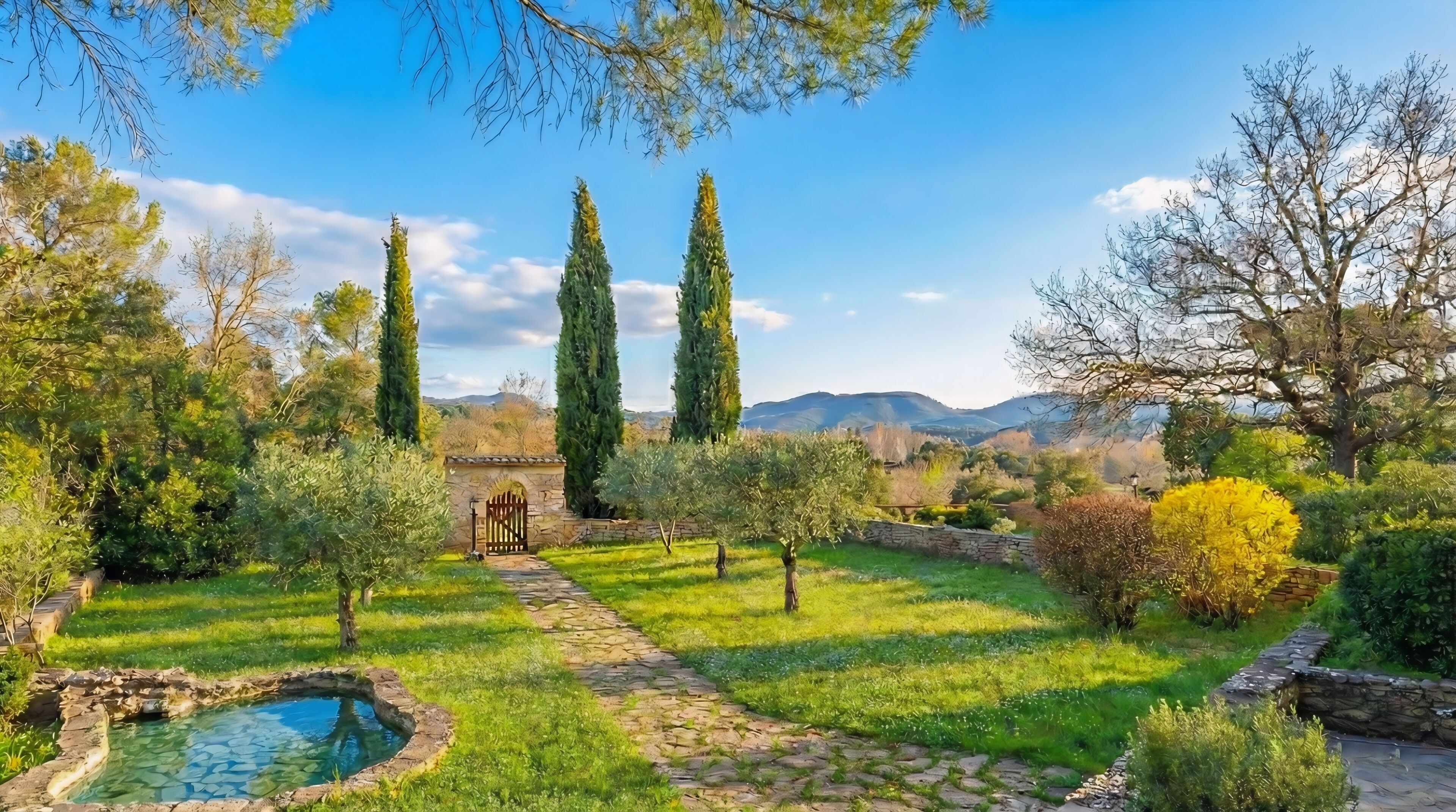 Un jardin avec un sentier en pierre, une petite piscine et de grands cyprès.