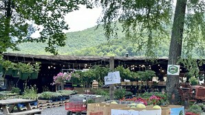 Un vivero con diversas plantas y flores expuestas, incluyendo sandías y plantas en macetas.