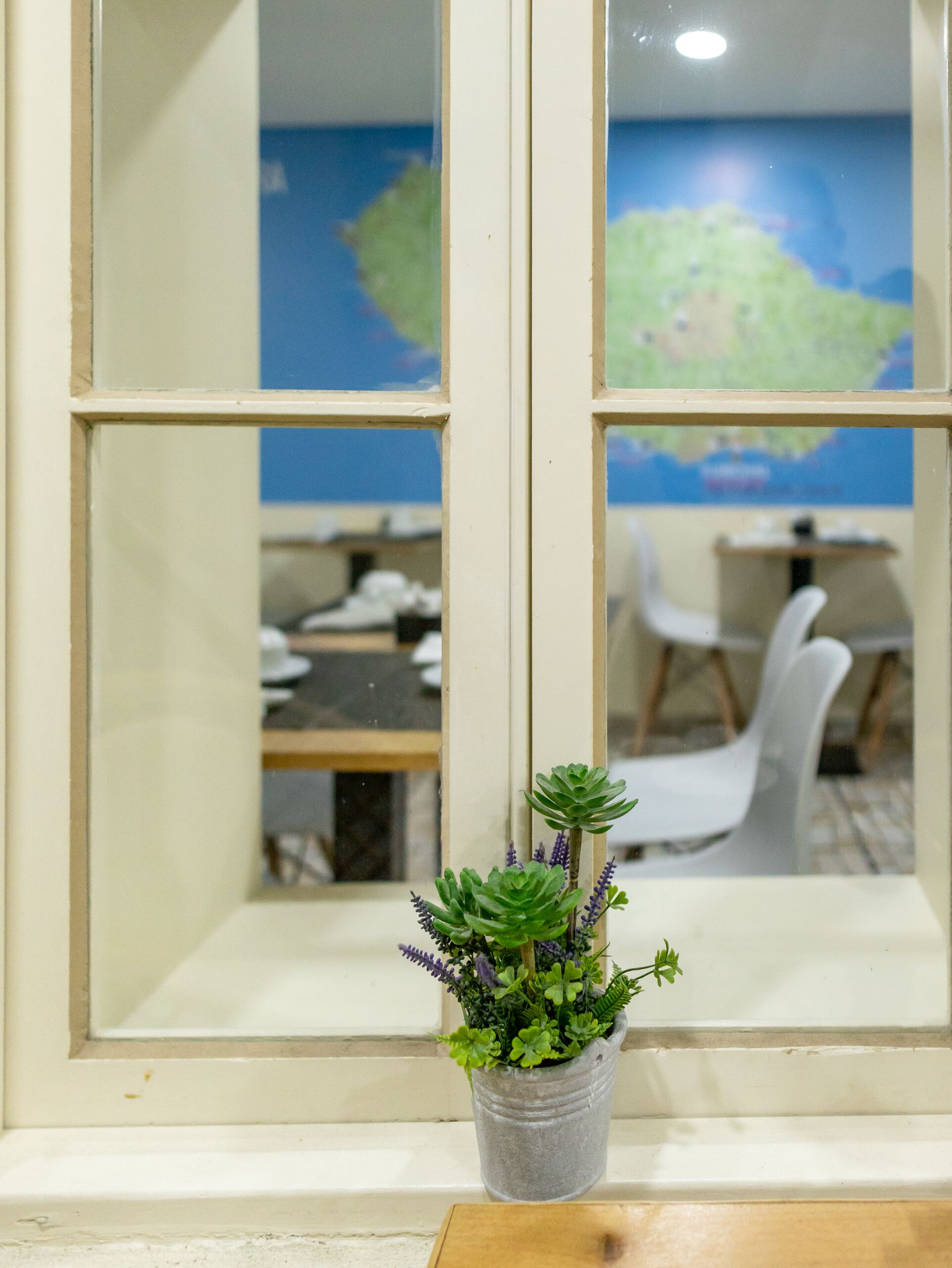 Bar (en la propiedad)