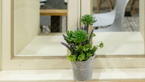A window with a potted plant on a windowsill, a map on the wall, and a room with white chairs and a table. - Zarco B&B - Bed and Breakfast (Funchal)