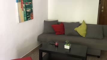 Ălytelevisio, DVD-soitin, kirjoja, videokirjasto