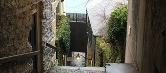 Woodpeckers, a comfortable modern house, set in beautiful, tranquil gardens.