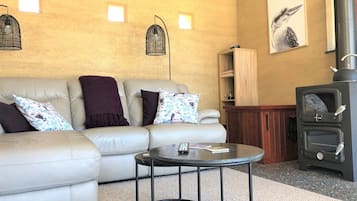 TV, fireplace, DVD player