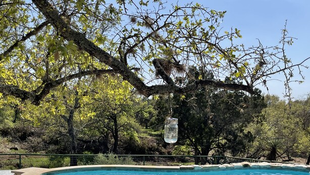 Piscina com borda de pedra, rodeada por árvores e céu claro.