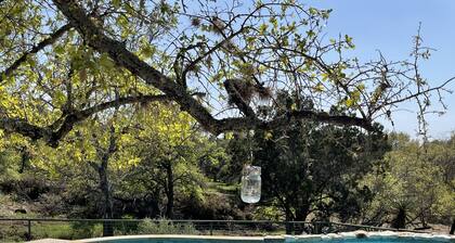 The Pebble house with a private pool