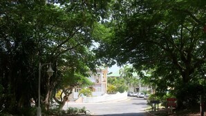 A tree-lined street leading to a building with a white fence and a clock tower.
