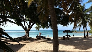 A beach with palm trees, a bench, and a thatched umbrella.