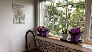 Een keuken met een raam, een spoelbak en potplanten.