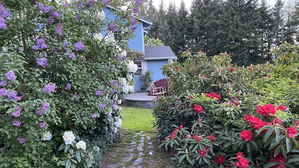 Een tuinpad leidt naar een huis met een blauwe gevel, omgeven door weelderige begroeiing en bloeiende planten.