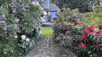 Terrain de l’hébergement