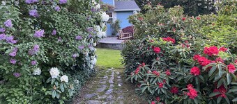 Lovely Mountain View Cottage with Hot Tub, close to amenities!