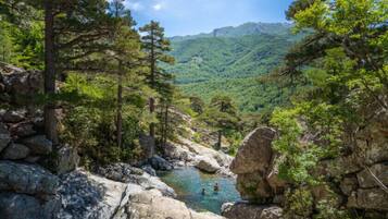 Ăreas de la propiedad