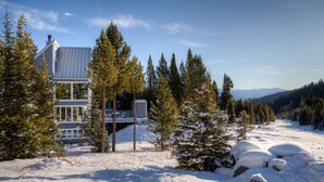 A modern house with a metal roof, surrounded by snow-covered ground and evergreen trees. - Ski in/out home w/private hot tub, sauna, fireplace & great views - Low Dog Mountain Chalet (Big Sky)