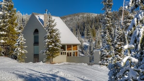 Een modern huis met een steil dak, omgeven door met sneeuw bedekte bomen en een bergachtige achtergrond.