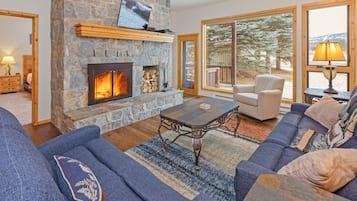 TV, fireplace, books