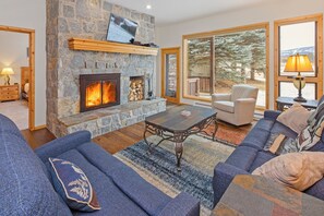 Fernseher, Kamin, Bücher