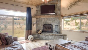 TV, fireplace