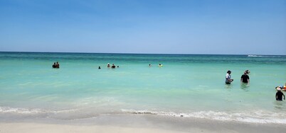 Stay on the Famous Pass-a-Grille Beach Pet friendly