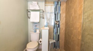 Shower, hair dryer, towels
