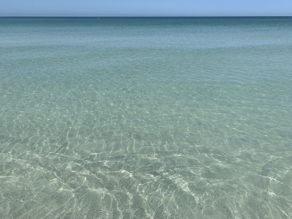 On the beach - Nightly stay allowed just steps to the famous Pass-a-Grille Beach, pet friendly. (St. Pete Beach)