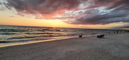 Beach nearby. Pet-Friendly 1BR Bungalow Steps from Pass-a-Grille Beach with Free Parking