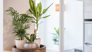 A wooden tray with three potted plants on a kitchen counter.
