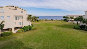A beachfront hotel with a grassy lawn, palm trees, and a view of the ocean.