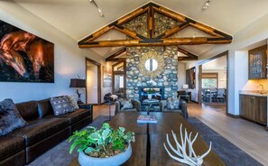 TV, fireplace, offices
