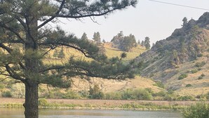 Une tasse blanche posée sur un banc en bois, donnant sur un lac, avec une zone herbeuse et des arbres en arrière-plan.