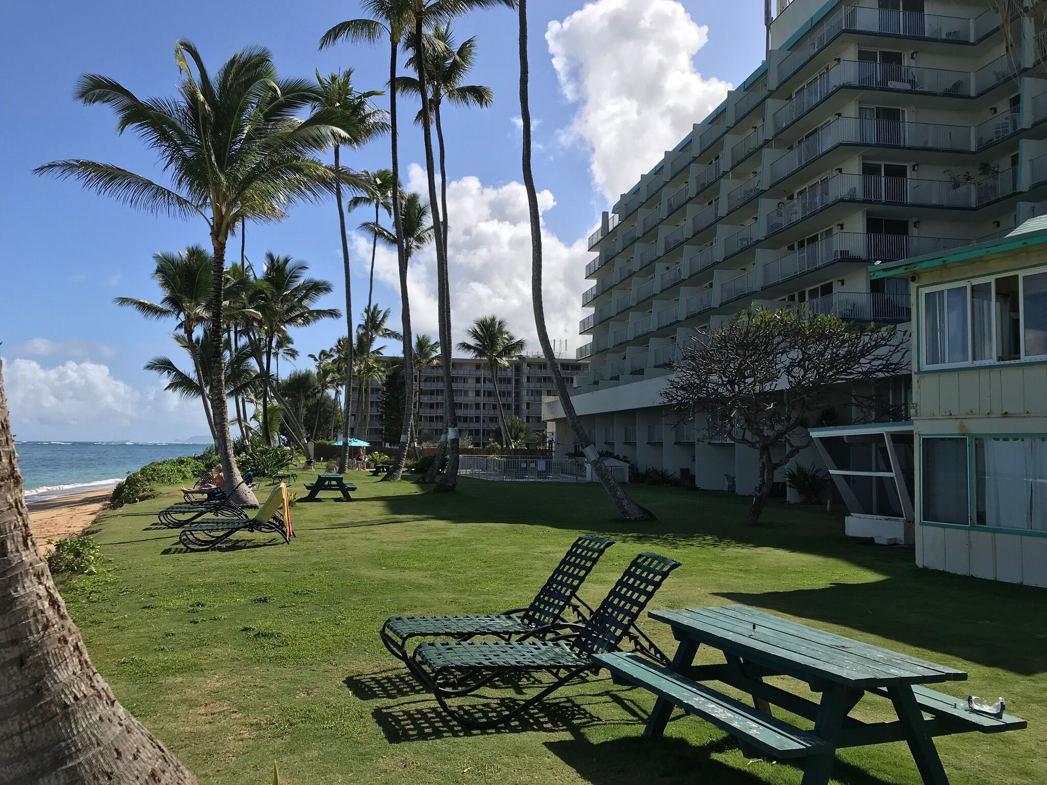 A hotel courtyard with palm trees, a pool, and a beach view.