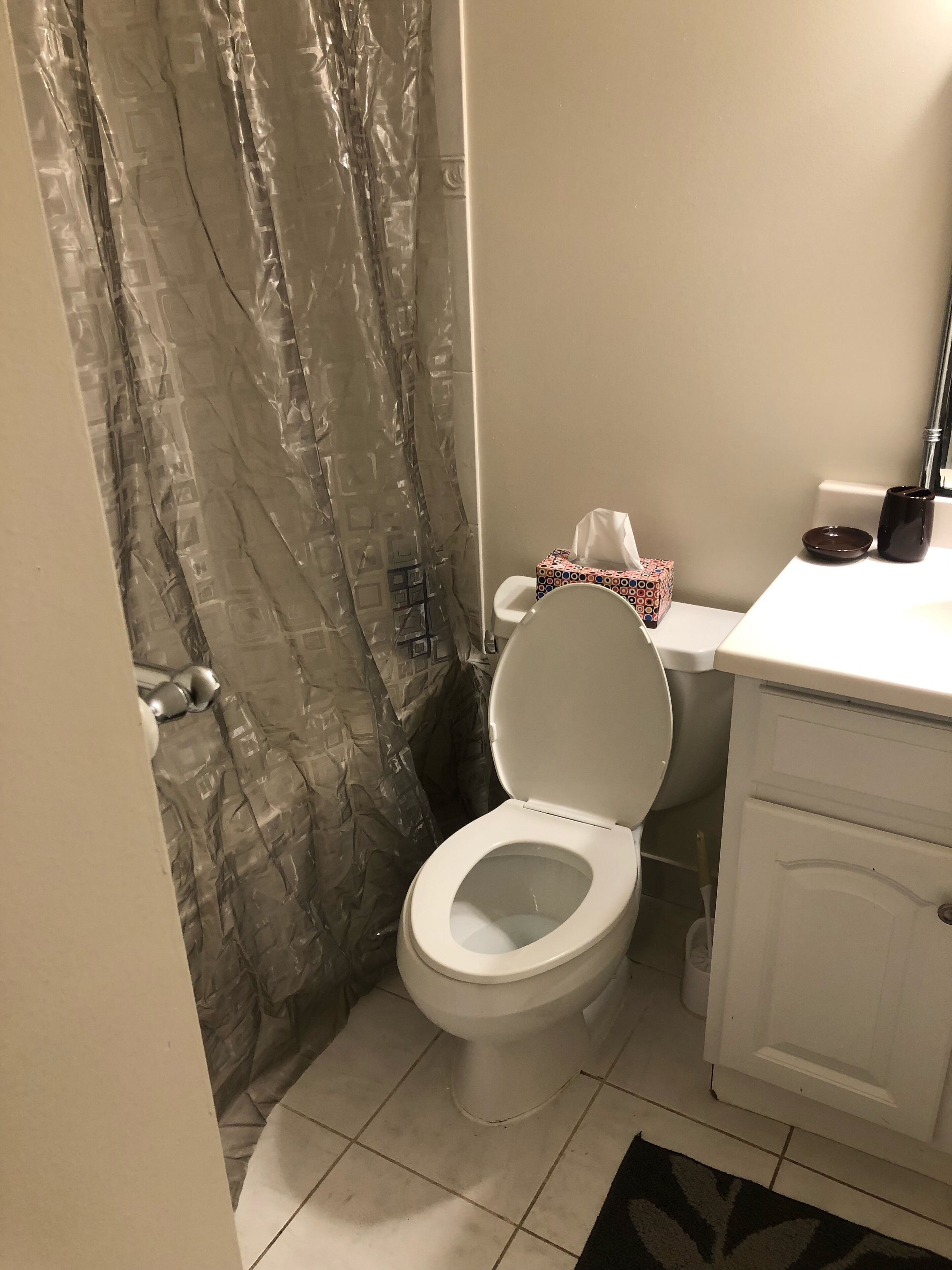 Beautiful Downtown 2 BR Apt,  near Sites + Free Parking