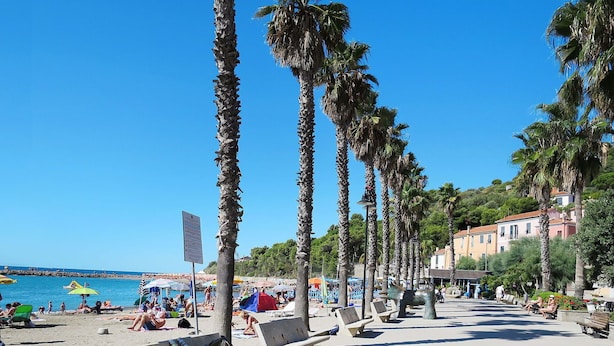 Une plage bordée de palmiers, avec des bancs et des parasols.