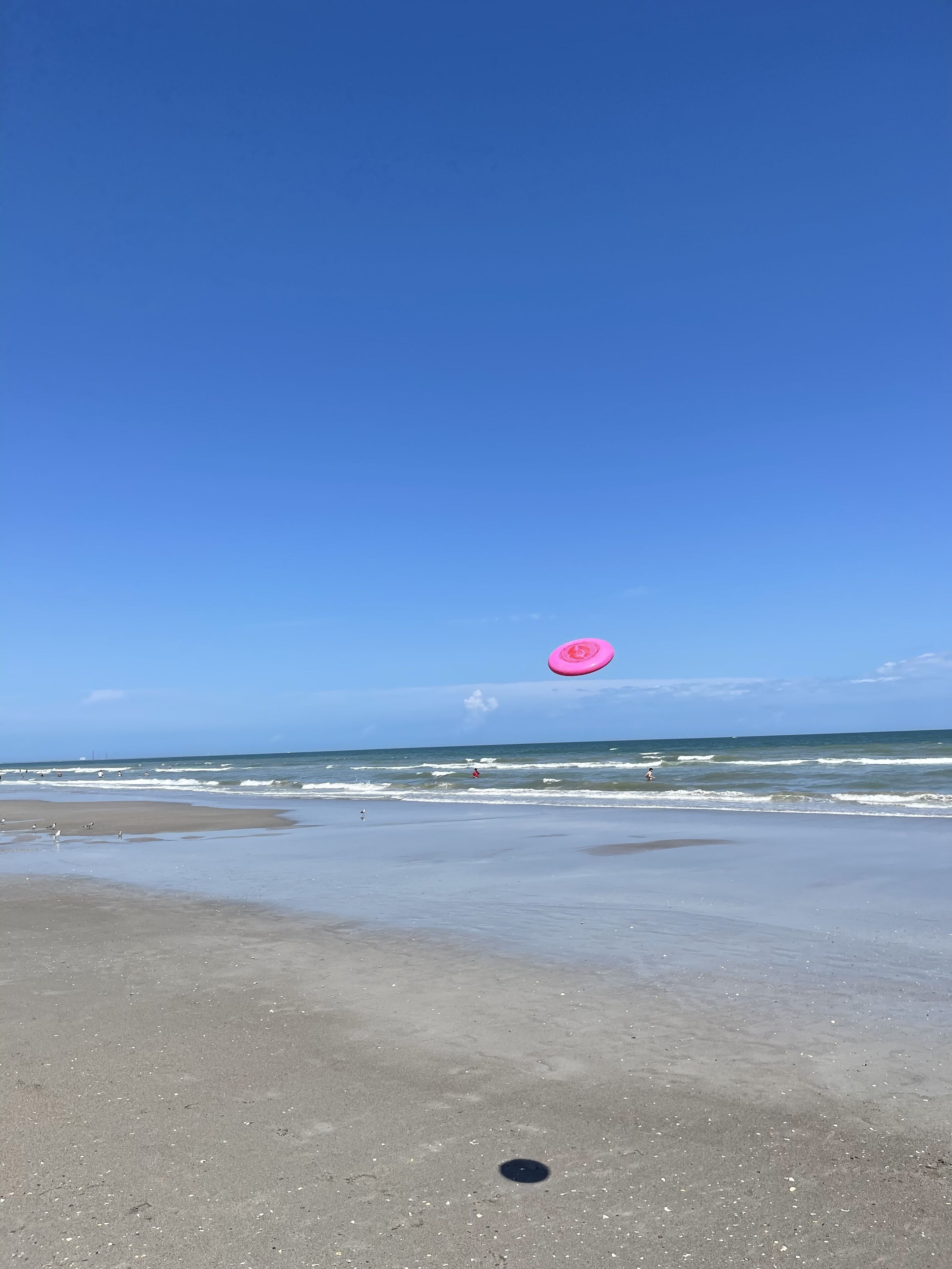 A beach with a pink frisbee in the air, waves, and a clear sky.