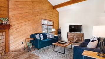 Télévision, cheminée, livres