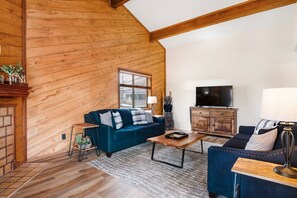 TV, fireplace, books