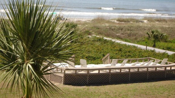 A beachside lounge with a view of the ocean, surrounded by greenery and a palm tree. - Ocean front condo with amazing ocean views! (Hilton Head Island)